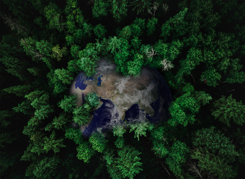 �������ʹ���-��Ӫ��ȫ,����һ·�ɳ�